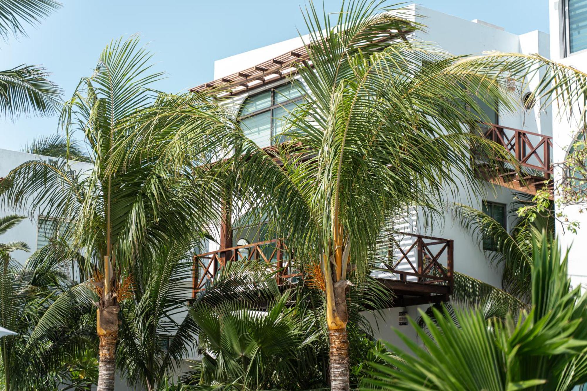 Villas Amanecer By Andiani Travel Isla Mujeres Extérieur photo
